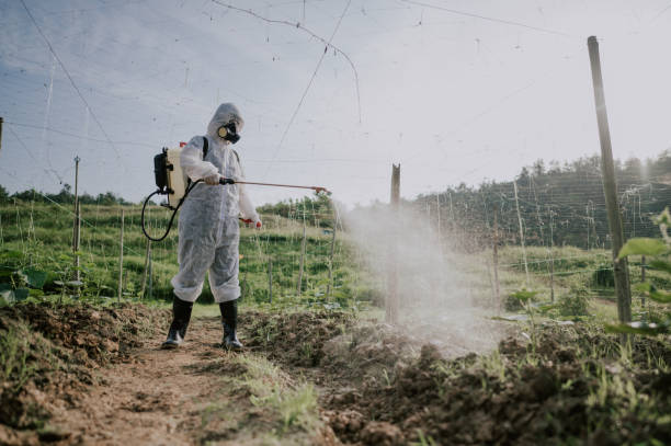 Best Mosquito Control Services  in Franklin Grove, IL
