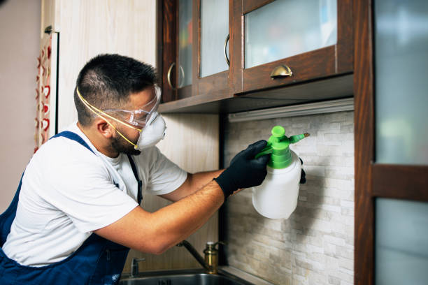 Best Pest Prevention Services  in Franklin Grove, IL