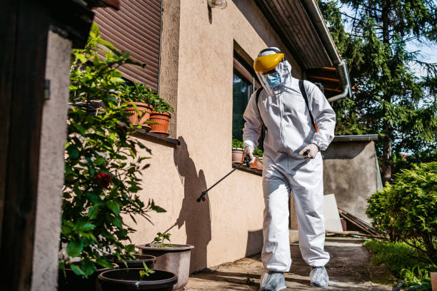 Best Wildlife Control Services  in Franklin Grove, IL