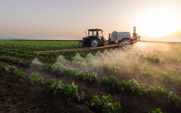 Best Pest Control Treatment  in Franklin Grove, IL