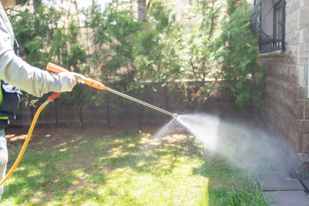 Wildlife Control Services in Franklin Grove, IL