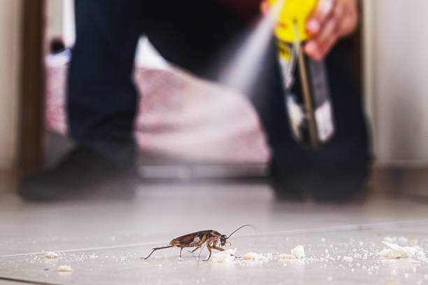 Best Commercial Pest Control Services  in Franklin Grove, IL