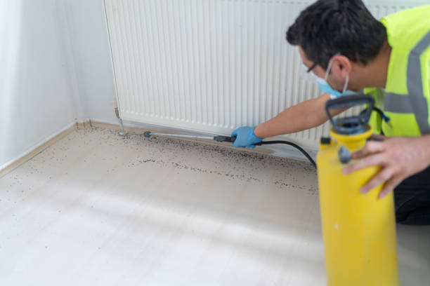 Best Best Pest Control Companies  in Franklin Grove, IL
